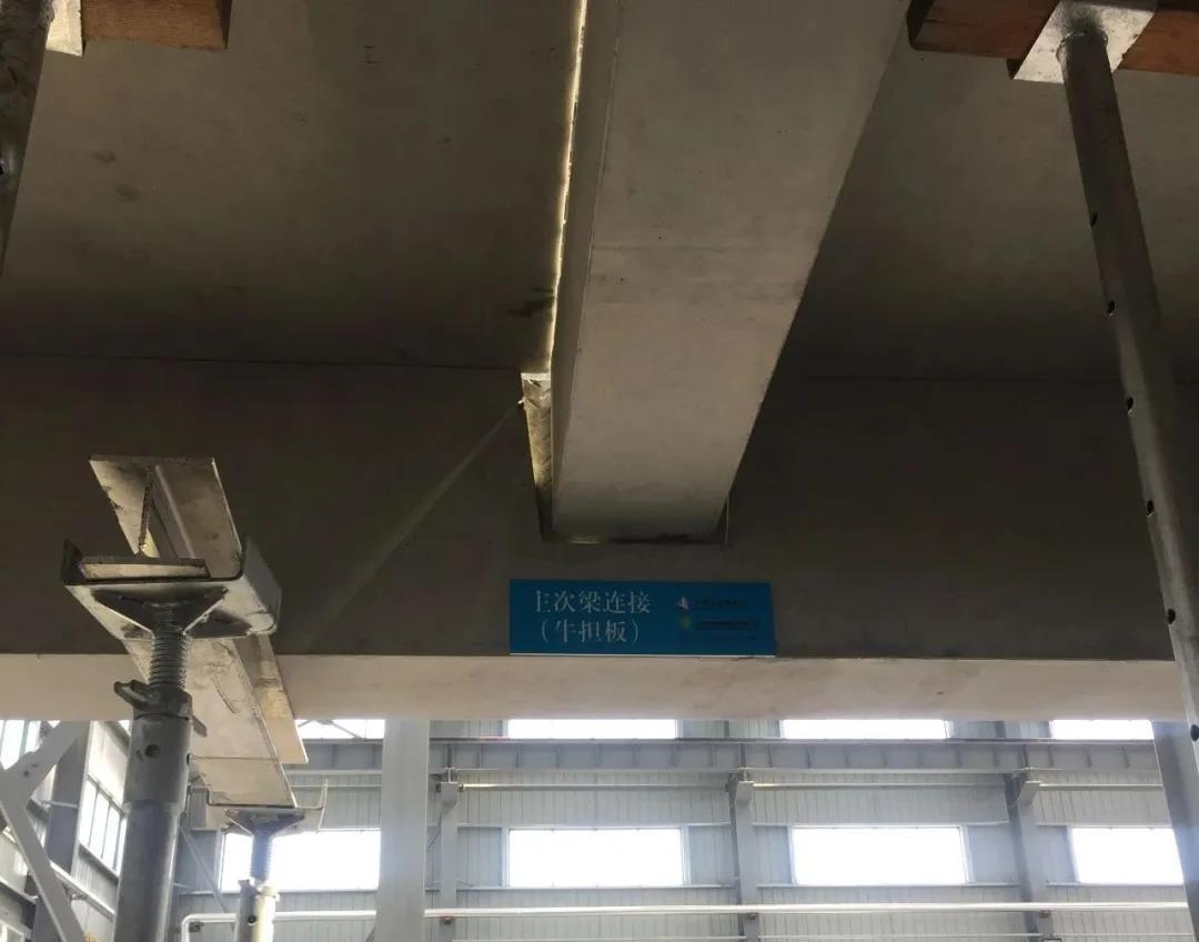 1588735321330113.jpg