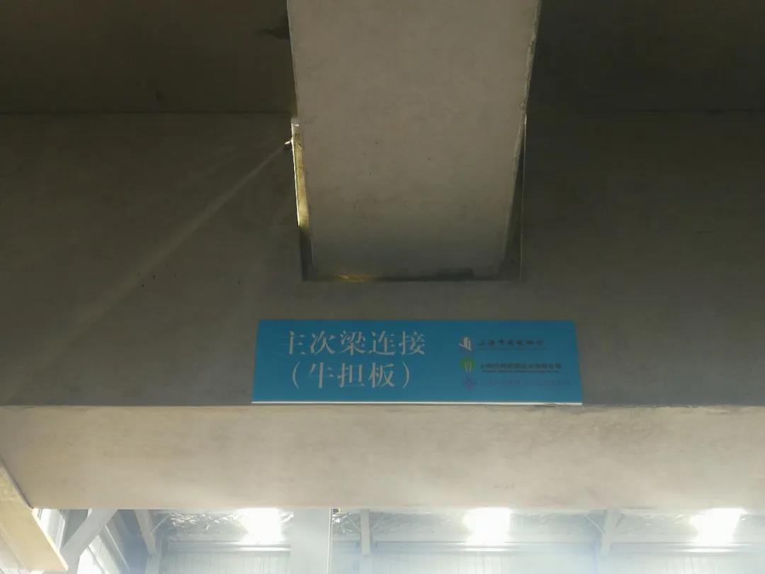 1588735321369839.jpg